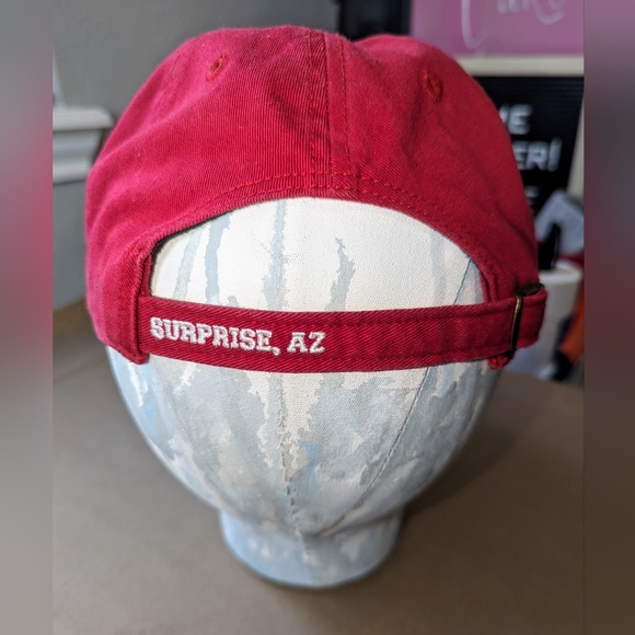 Texas Hat - Picture 5 of 5